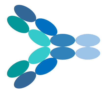Monoclonal Antibodies