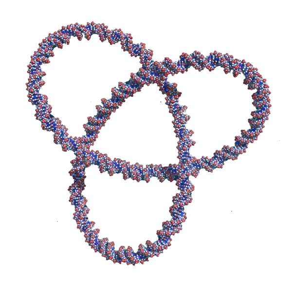 Molecular DNA Knot