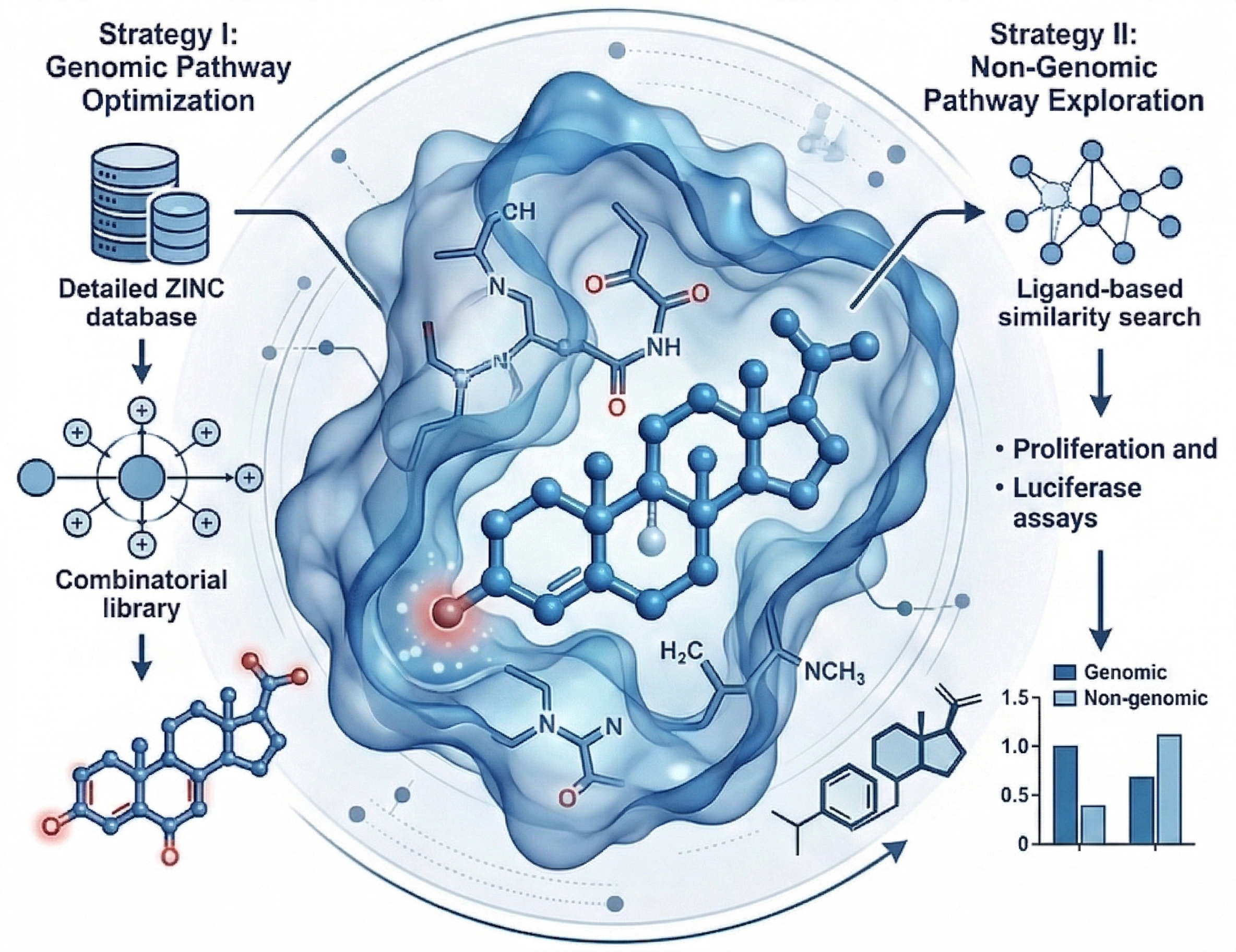 Glucocorticoid Receptor Complex